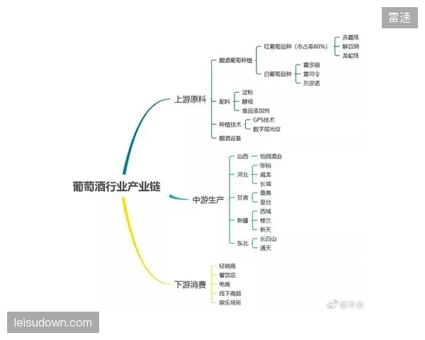 全球体育版权保护正迈向生态共治，跨国联盟与技术平台协作成为打击盗播产业链的关键